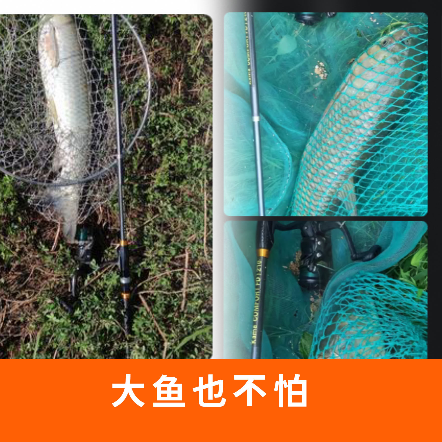 俄罗斯钓鱼4 飞德新手钓鱼149套餐start  地球钓鱼4 到手即用