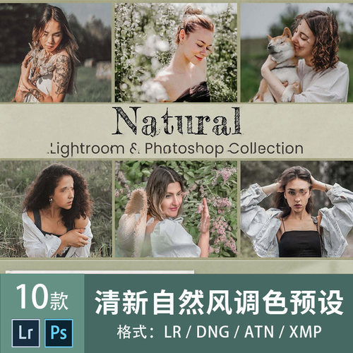 ps调色滤镜预设插件清新自然风LIGHTROOM移动lr影楼后期xmp素材库
