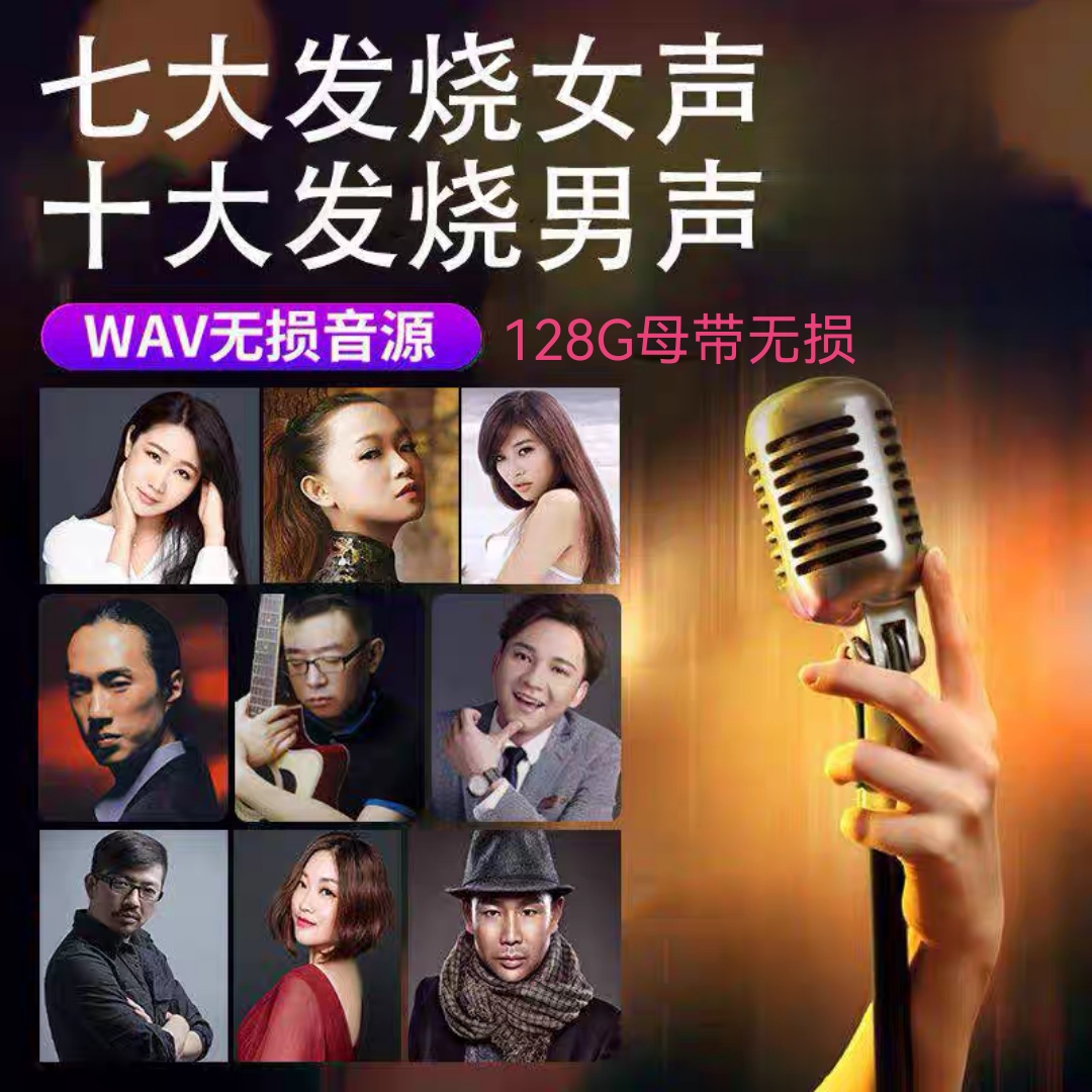2025新款母带级无损车载音乐U盘发烧人声WAV高解析Hires音响USB盘