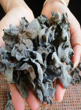 椴木250g青川木耳野外干货黑木耳