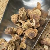 四川特产 未开伞姬松菇 煲汤食材 农家干货 蘑菇 食用菌菇 姬松茸