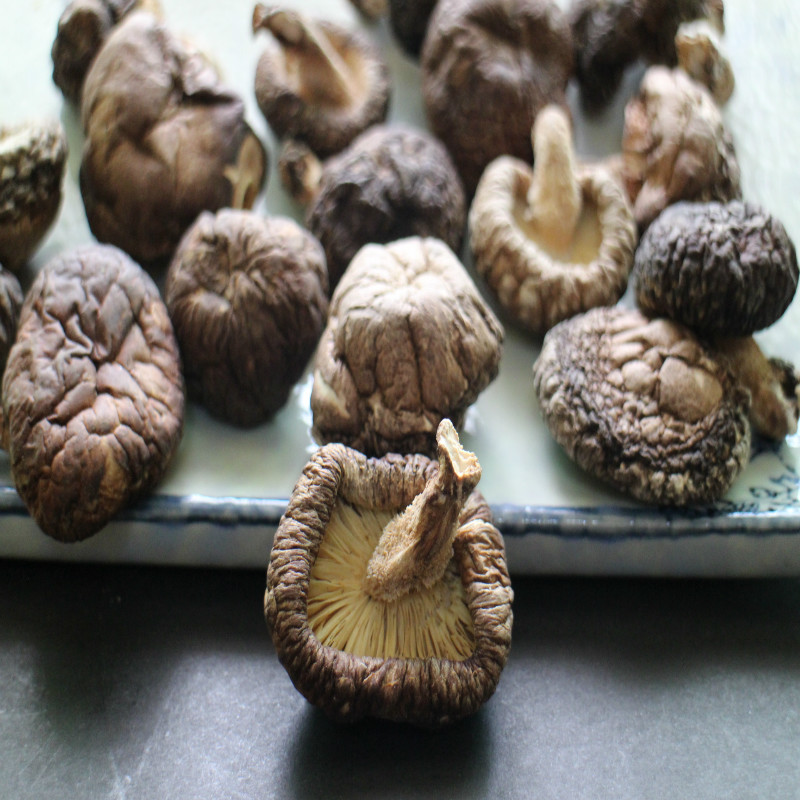 香菇干货新品干货包邮香菇椴木菇