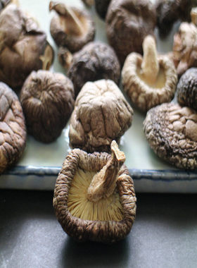 香菇干货新品干货包邮香菇椴木菇