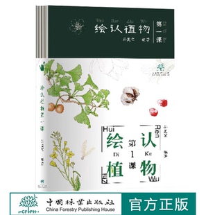 绘认植物第一课 孙英宝 2192 中国林业出版社