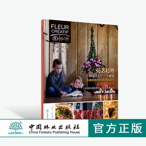 创意花艺 圣诞狂想 0427 Fleur Creatif中文版 创意花艺编辑部 花艺设计 中国林业出版社 畅销书