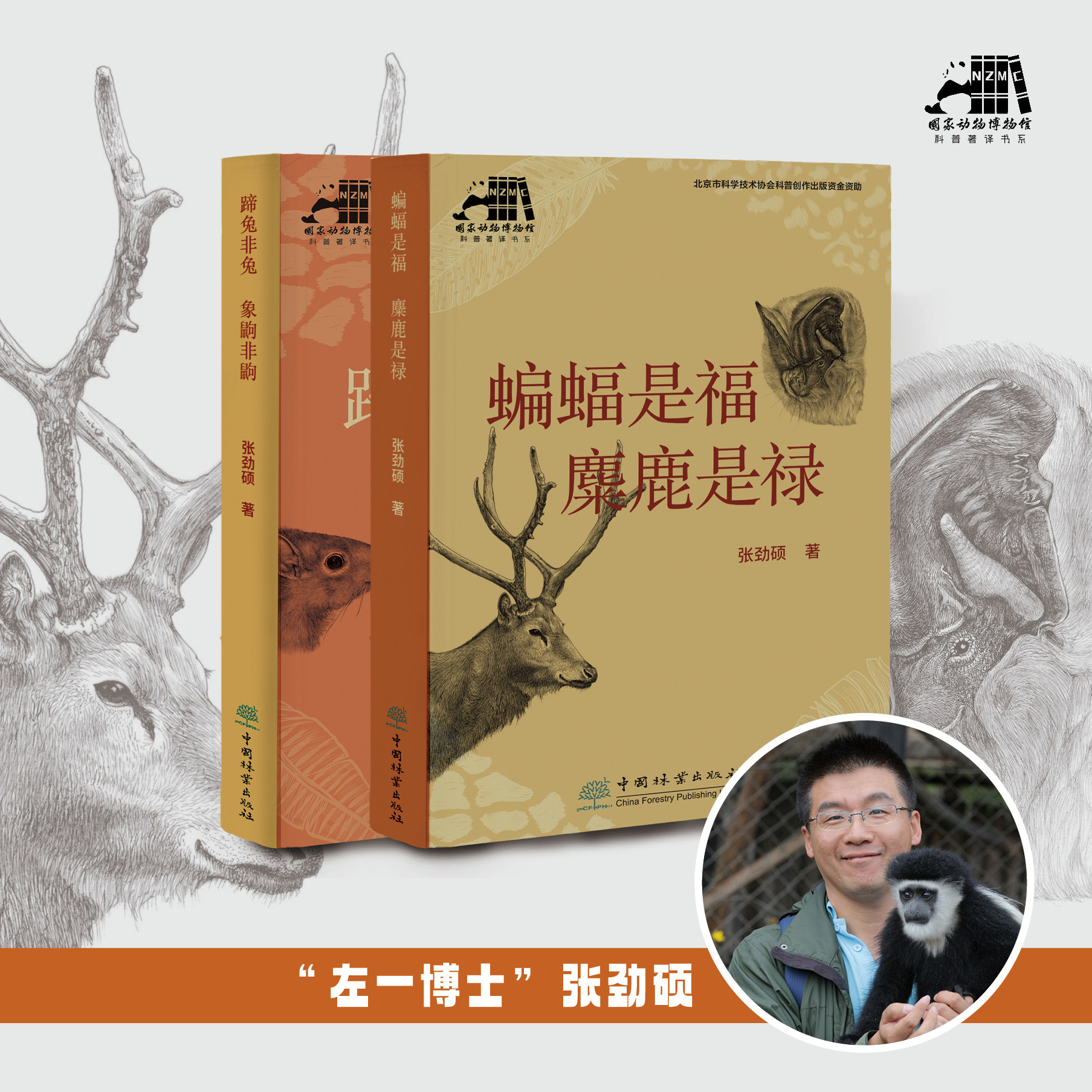 【自选】蝙蝠是福  麋鹿是禄、蹄兔非兔 象鼩非鼩（国家动物博物馆科普著译书系）