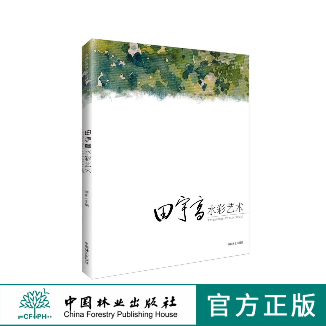 田宇高 水彩艺术 6352 名师绘画技法系列丛书 中国林业出版社