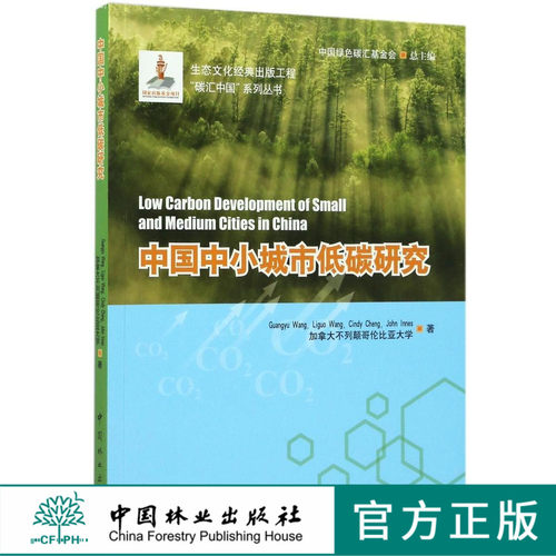 中国中小城市低碳研究/碳汇中国系列丛书  8961