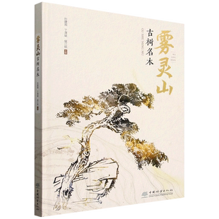 雾灵山古树名木 &2479