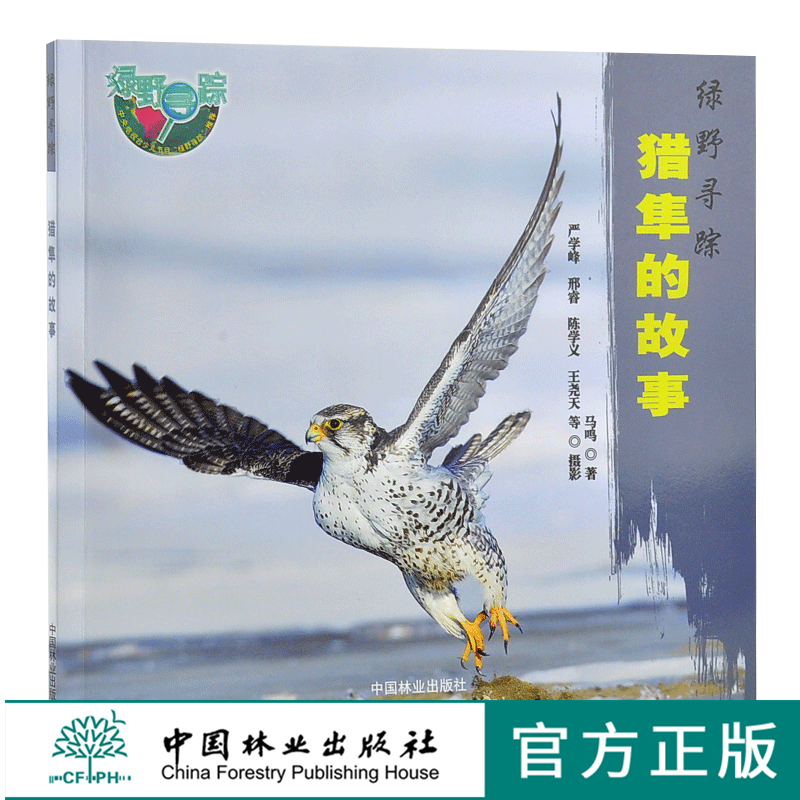 猎隼的故事 绿野仙踪 0260 马鸣 著 猎隼知识 隼类特征 生态习性 繁殖后代 捕食策略 保护 少儿科普读物 中国林业出版社 畅销书