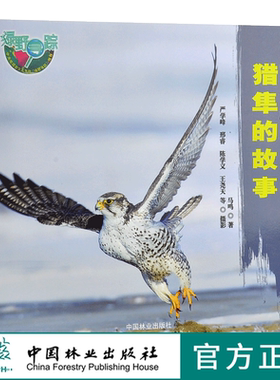 猎隼的故事 绿野仙踪 0260 马鸣 著 猎隼知识 隼类特征 生态习性 繁殖后代 捕食策略 保护 少儿科普读物 中国林业出版社 畅销书