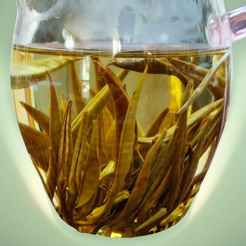 2025年秋茶月光白高香型口粮茶250克包邮