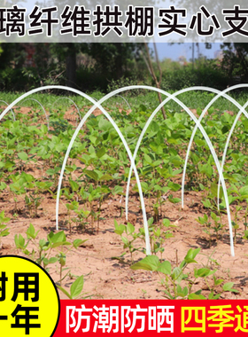 拱棚支架塑料大棚支撑架地膜防雨园艺实心拱杆简易保温棚子骨架条