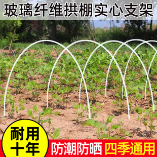 拱棚支架塑料大棚支撑架地膜防雨园艺实心拱杆简易保温棚子骨架条