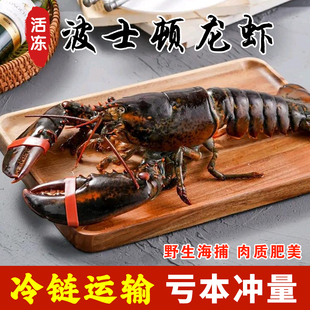 波士顿龙虾鲜活冷冻特大波龙海鲜水产加拿大澳洲小青龙进口大龙虾