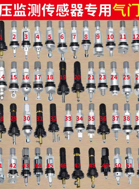 汽车轮胎胎压监测气门嘴专用传感器真空嘴传感器加气嘴套装精品