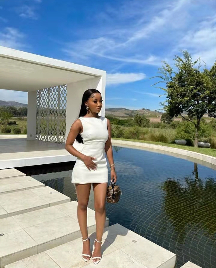 wildgirl时尚ins风气质包臀连衣裙夏季新款纯色修身圆领无袖短款