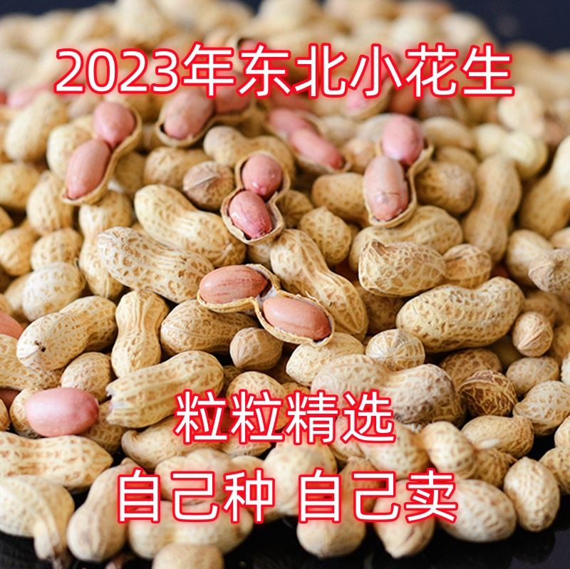 2023年新鲜东北小花生带壳原味红崖子花生特产农家小日本生熟花生