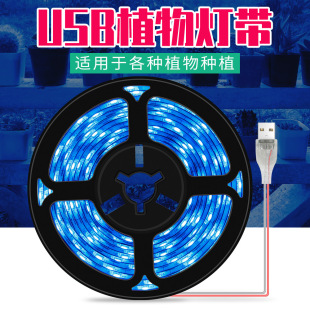 USB灯带全光谱植物生长灯LED室内培育花卉多肉植物补光灯跨境