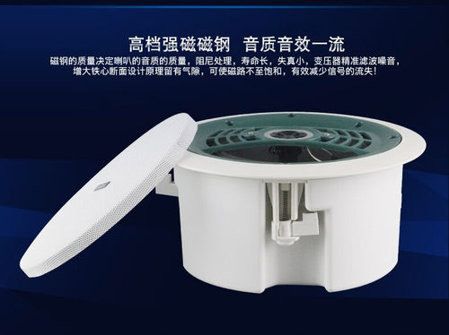 同轴定压咖啡厅吸顶音响天花喇叭