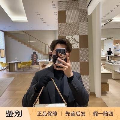 WALLETONCHAINIVY手袋M83026