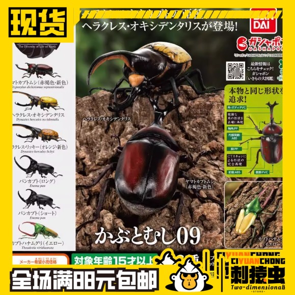包邮 现货 万代 生物大图鉴 甲虫 9 扭蛋 独角仙 大兜虫