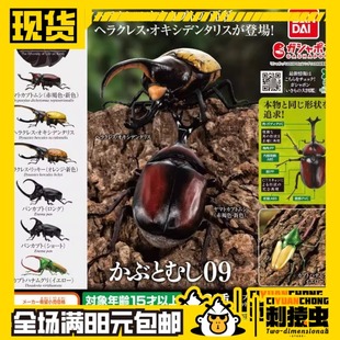 万代 生物大图鉴 独角仙 包邮 大兜虫 扭蛋 现货 甲虫