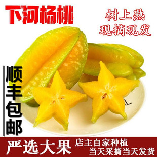 顺丰包邮甜杨桃水果新鲜5斤现摘现发生鲜孕妇水果下河杨桃黄果