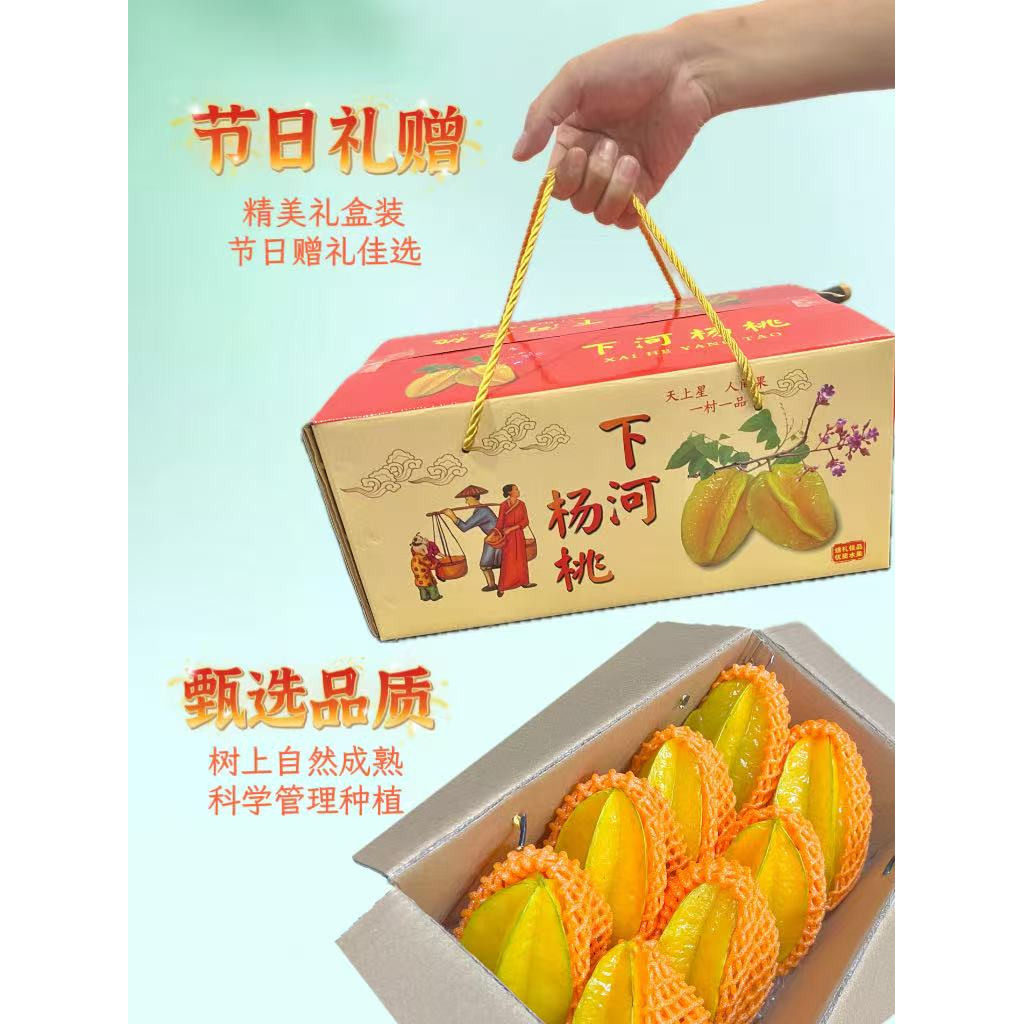 送礼装下河杨桃新鲜水果