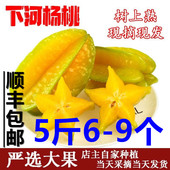 顺丰大果福建漳州下河甜杨桃水果 新鲜现摘树上熟净重4.8斤5 包邮