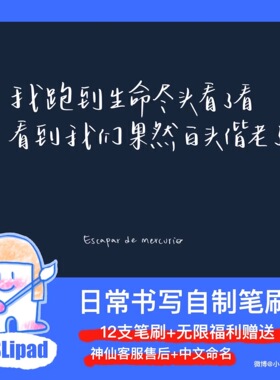 Procreate笔刷常用Shadylady阴影Ipad笔刷照片写字日常书写 ESL