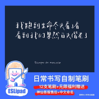 Procreate笔刷常用Shadylady阴影Ipad笔刷照片写字日常书写 ESL