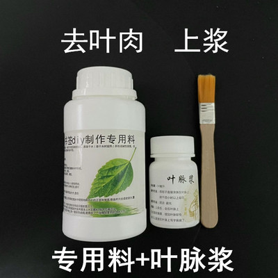 树叶书签diy材料半成品染色实验