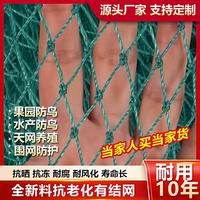 果园防鸟网果树樱桃葡萄防鸟用的网鱼塘天网大棚防护尼龙网养殖网