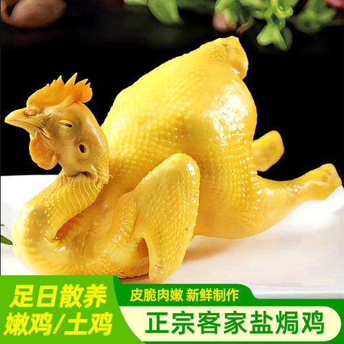 广东特产盐焗鸡整只真空包装即食正宗三黄鸡熟食土鸡手撕鸡下酒菜
