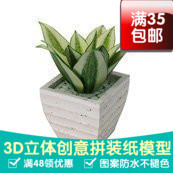 植物 金边短叶虎尾兰 3d纸模型 DIY手工