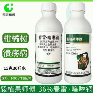 毅植果师傅36%春雷霉素喹啉铜柑橘树溃疡病农药杀菌剂农用抗菌素