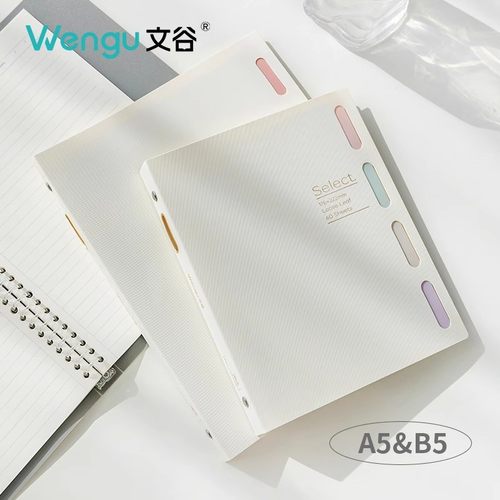 文谷可拆卸活页本PP封面a5高颜值笔记本b5初中高中生专用本子a4大本