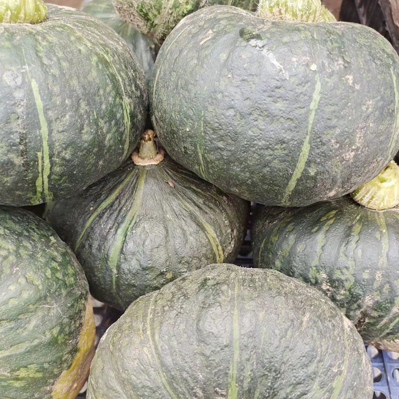 正宗东北农家绿窝瓜面倭瓜炖豆角南瓜