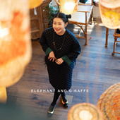 半裙套装 简约交织古典韵味两面穿 601123 春日游园 大象和长颈鹿