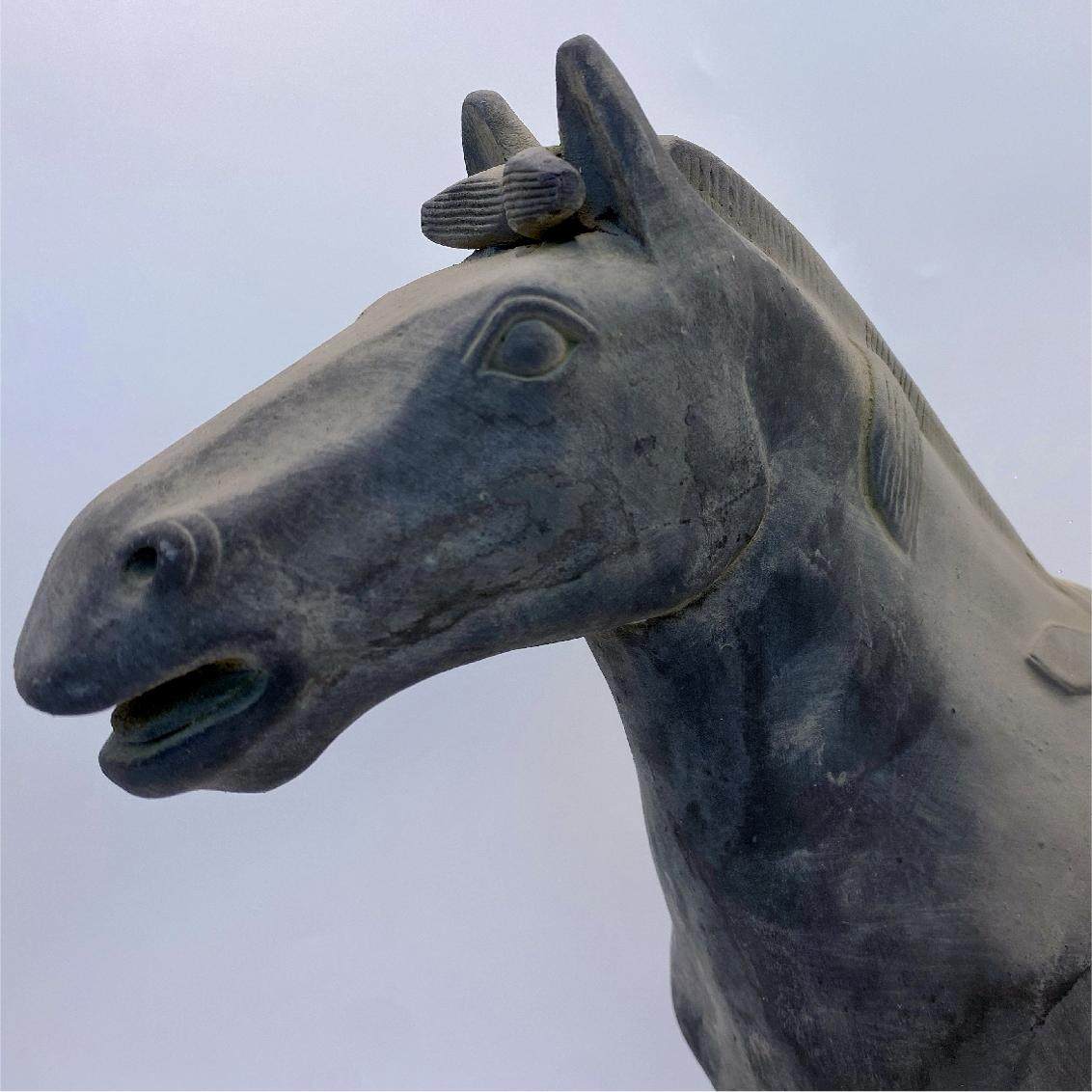 陕西西安秦始皇兵马俑战马复刻