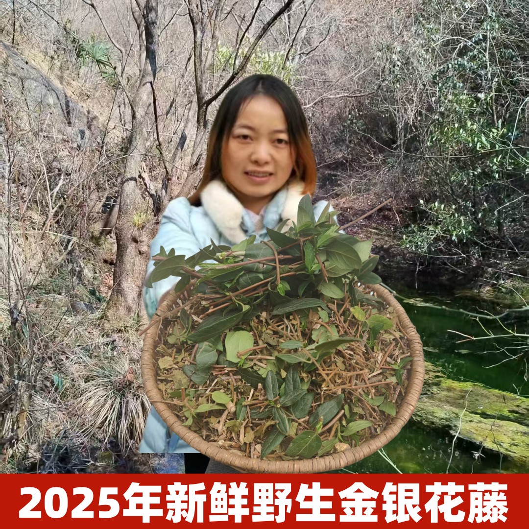 金银花藤洗澡婴儿宝宝泡澡忍冬藤干2025年新鲜中药材野生金银花藤