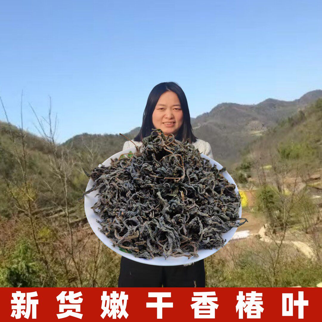 2026年香椿干无硫新货