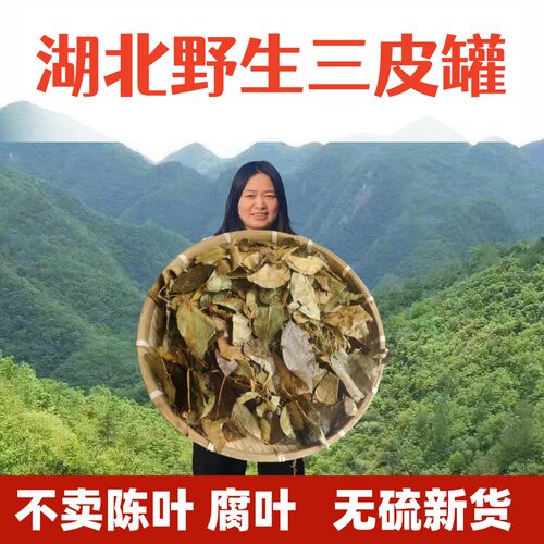 湖北三皮罐茶叶2026年新货无硫