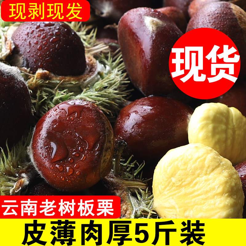 新鲜板栗生板栗湿板栗2021年云南农家现摘散装即食栗子5斤现货在类目 零食/坚果/特产, 山核桃/坚果/炒货, 即食板栗中 - 来自Buy2taobao.com提供专业的淘宝代购服务