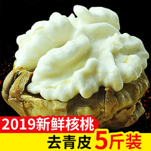 薄皮生核桃现货 新鲜核桃去青皮2019湿核桃鲜嫩孕妇云南大姚5斤装