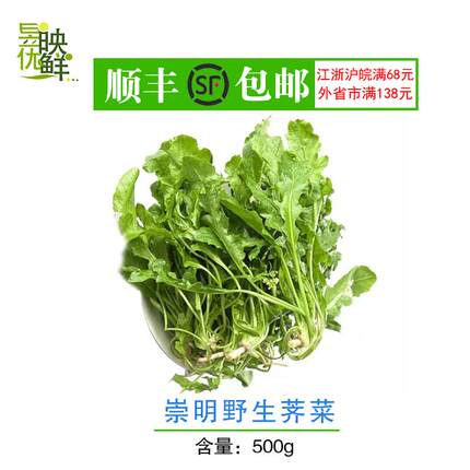上海崇明野生荠菜新鲜现挖绿色无公害蔬菜500克 非冷冻