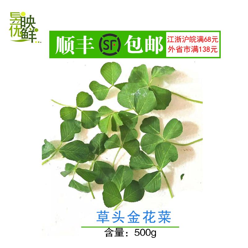 【昱映优鲜】上家农家精品草头 金花菜500克新鲜蔬菜只发江浙沪