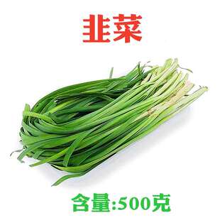 上海崇明农家新鲜蔬菜  韭菜500克时鲜菜