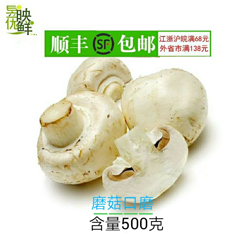 【昱映优鲜】新鲜食用菌口磨白蘑菇双孢菇 500g